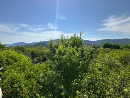 4 1 Detached Villa For Sale In Ortaca Dalaklı