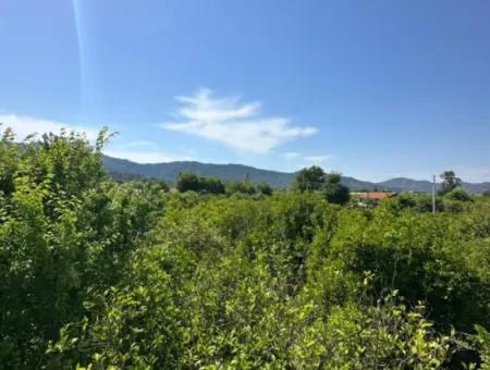 4 1 Detached Villa For Sale In Ortaca Dalaklı