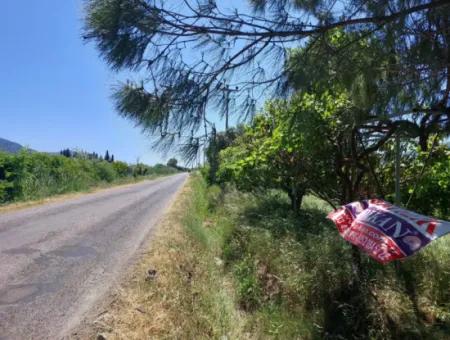 9.000 M2 Pomegranate Garden For Sale In Muğla Ortaca Eskiköy