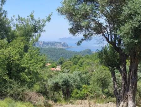 Mugla Gökbelde Lake And Sea View 1000M2 Land For Sale