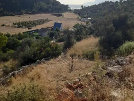12 300 M2 Land Suitable For Investment For Sale In Antalya Kaş Kalkan Islam