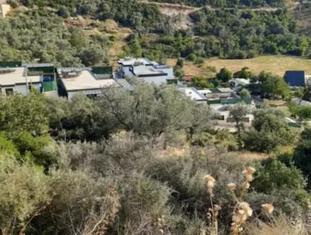 12 300 M2 Land Suitable For Investment For Sale In Antalya Kaş Kalkan Islam