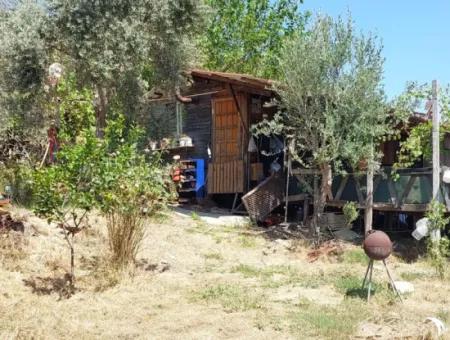 For Sale With A Numbered Building On 2.500M2 Treasury Land In Ortaca Eskiköy