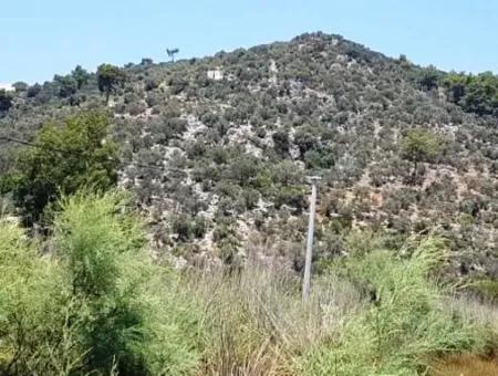 74,000 M2 Sea View Land For Sale In Dalaman Kapıkargın