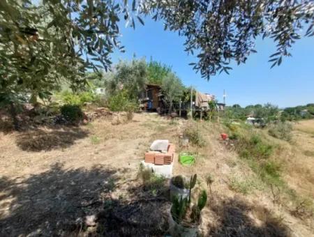 For Sale With A Numbered Building On 2.500M2 Treasury Land In Ortaca Eskiköy