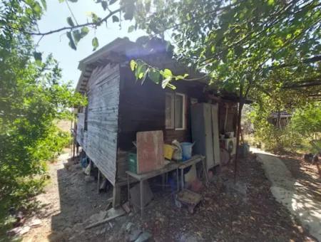 For Sale With A Numbered Building On 2.500M2 Treasury Land In Ortaca Eskiköy
