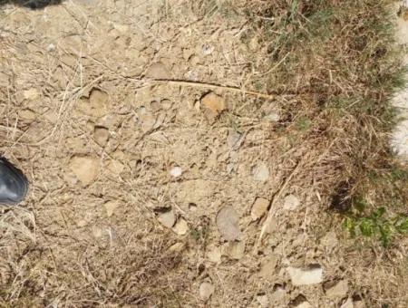 For Sale With A Numbered Building On 2.500M2 Treasury Land In Ortaca Eskiköy