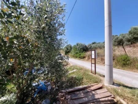 For Sale With A Numbered Building On 2.500M2 Treasury Land In Ortaca Eskiköy