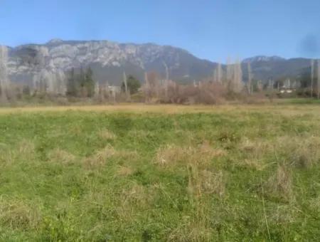 Land For Sale In Bargain Detached Zeytinalani