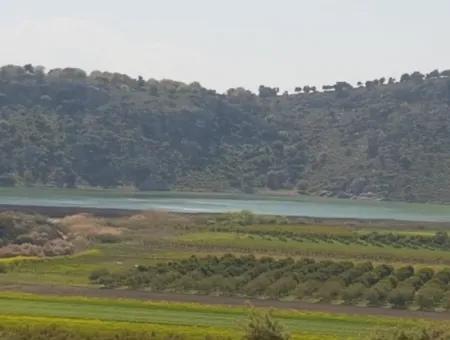 Lake-Zero Treasury Land In Muğla Dalaman Kapıkargın – Possession Will Be Transferred 