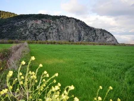 Detached Fertile Bargain Land For Sale In Ortaca Mergenli