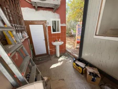 Ortacada Kiralık Kurul Düzen Market .