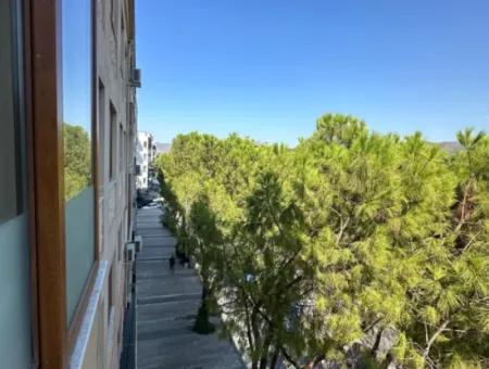 3 1 Apartments For Sale In The Center. Suitable For High Credit
