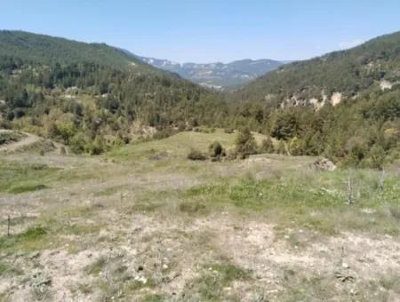 Çameli Kolakta Bargain 20 000 M2 Detached Title Deed Land Is For Sale Or Exchange.