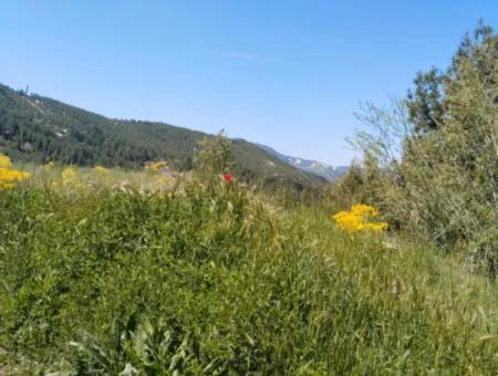 Çameli Kolakta Bargain 20 000 M2 Detached Title Deed Land Is For Sale Or Exchange.