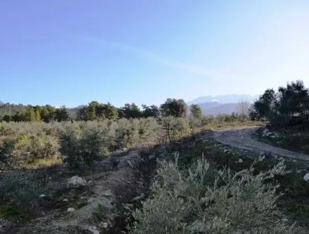 Valuable Waterfront Land For Sale In Tlos Fethiye Collar