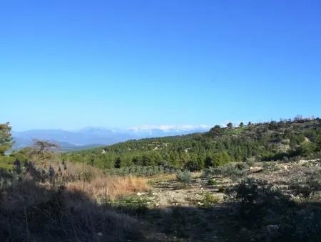 Valuable Waterfront Land For Sale In Tlos Fethiye Collar