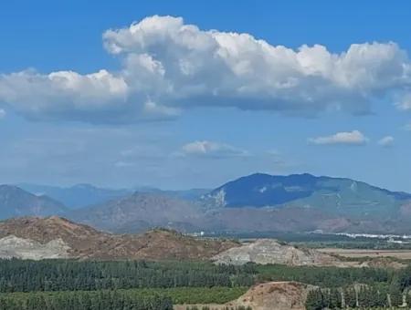 Ortaca Fevziye Sea And Nature View Bargain Detached Olive Grove For Sale