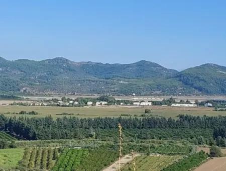 Ortaca Fevziye Sea And Nature View Bargain Detached Olive Grove For Sale