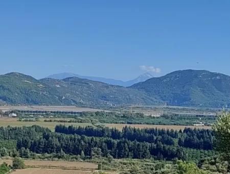 Ortaca Fevziye Sea And Nature View Bargain Detached Olive Grove For Sale