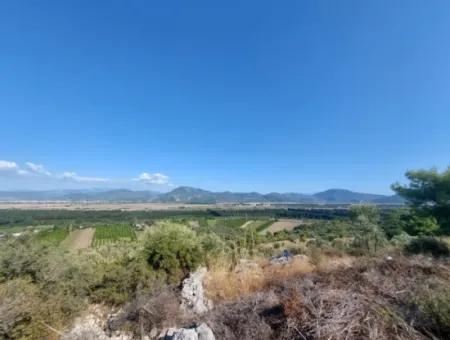 Ortaca Fevziye Sea And Nature View Bargain Detached Olive Grove For Sale