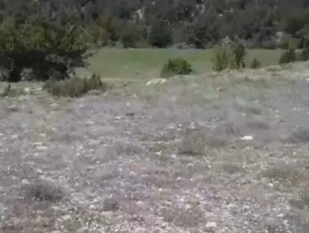 1770 M2 Field For Sale In Çameli Ayvacık