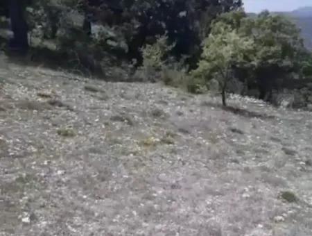 1770 M2 Field For Sale In Çameli Ayvacık