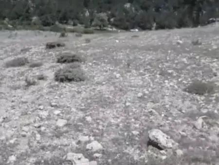 1770 M2 Field For Sale In Çameli Ayvacık