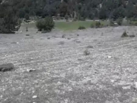 1770 M2 Field For Sale In Çameli Ayvacık