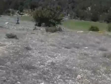 1770 M2 Field For Sale In Çameli Ayvacık