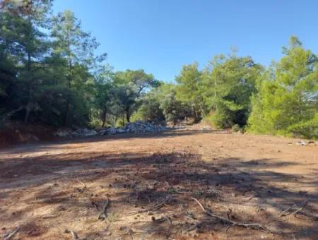 400 M2 Land Close To The Lake In Ortaca Gökbel Is For Sale