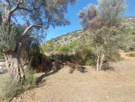 400 M2 Land Close To The Lake In Ortaca Gökbel Is For Sale