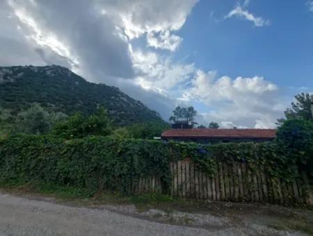 5.000 M2 Land With 150 M2 Construction Right Is For Sale In Muğla Dalyan