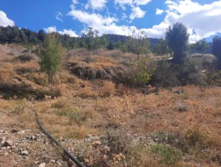 2 1 Houses And 200 M2 Barn On 5 000 M2 Detached Land In Çameli Kızılyaka For Sale