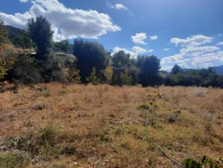 2 1 Houses And 200 M2 Barn On 5 000 M2 Detached Land In Çameli Kızılyaka For Sale