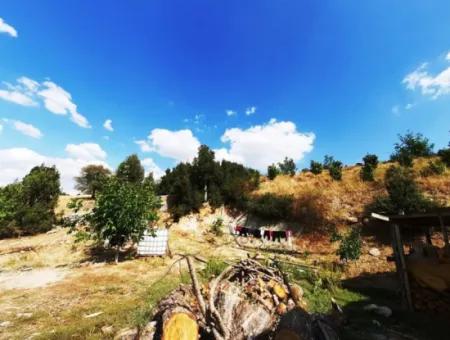 2 1 Houses And 200 M2 Barn On 5 000 M2 Detached Land In Çameli Kızılyaka For Sale