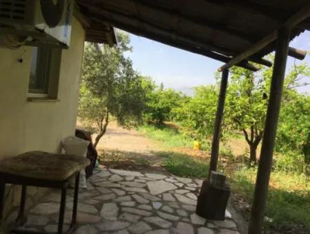 Muğla Ortaca Okçularda Unfurnished For Rent 2 1 Garden Village House