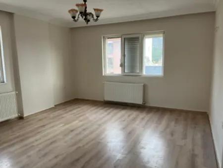 3 1 Flats For Rent In Ortaca Center
