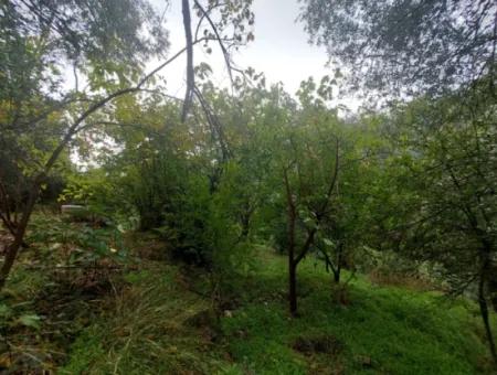 Village House With Title Deed For Sale In Nature In Muğla Fethiye İnlice