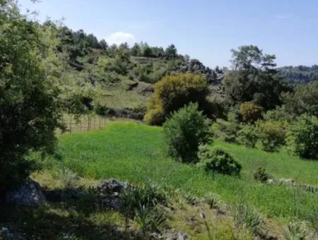 Muğla Ortaca Gökbelde 3200 M2 Shared Land For Sale