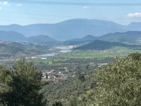 5 800 M2 Single Title Deed Detached Parcel Land For Sale In Muğla Milas