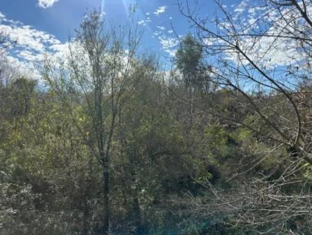 12 000 M2 Field For Sale In Ortaca Yeşilyurt