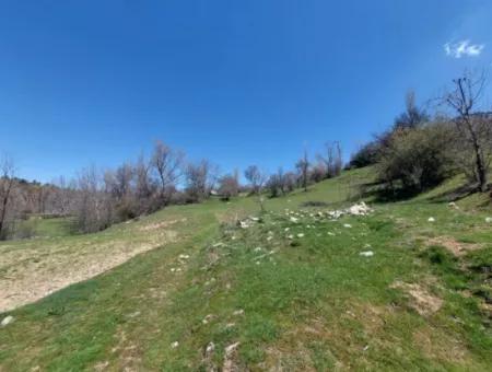 750 M2 Detached / 40 Zoned Lands In Çameli Cevizli For Sale