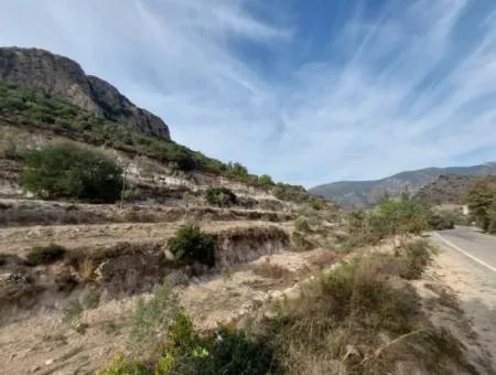 15 200 M2 Detached Land For Sale In Muğla Datça Yazi