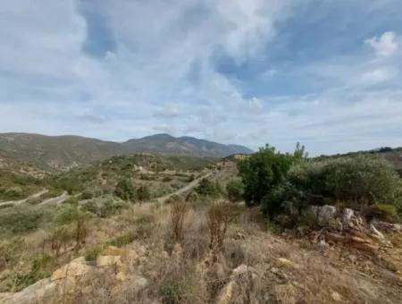 8.400 M² Bargain Olive Grove For Sale With Detached Title Deed In Datça Yazı, Muğla