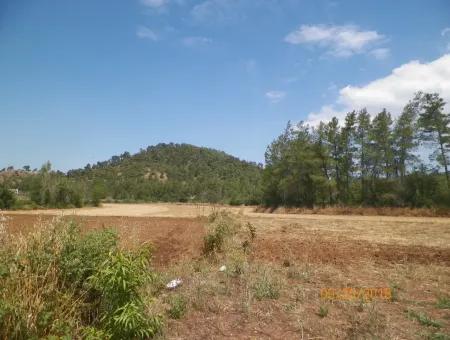 In Beyoba Of Fertile Land For Sale Bargain