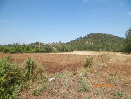 In Beyoba Of Fertile Land For Sale Bargain