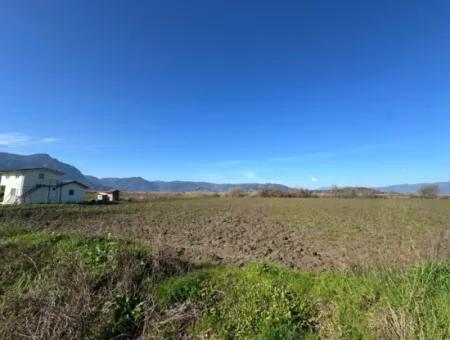 Field For Sale Close To Dalyan, Close To Köyceğiz Lake