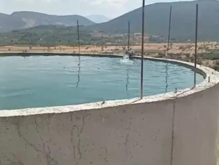 37.000 M2 Walnut Orchard In Denizli Tavas Ulukent For Sale