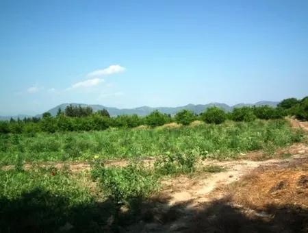 Detached Land For Sale In Ortaca Fevziye
